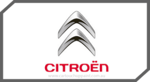 2018 Citroen Exact Match Digital Colour Coded Chip Image Chart
